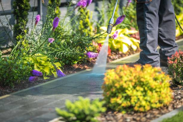 Best Patio and Deck Pressure Washing  in Old Forge, PA